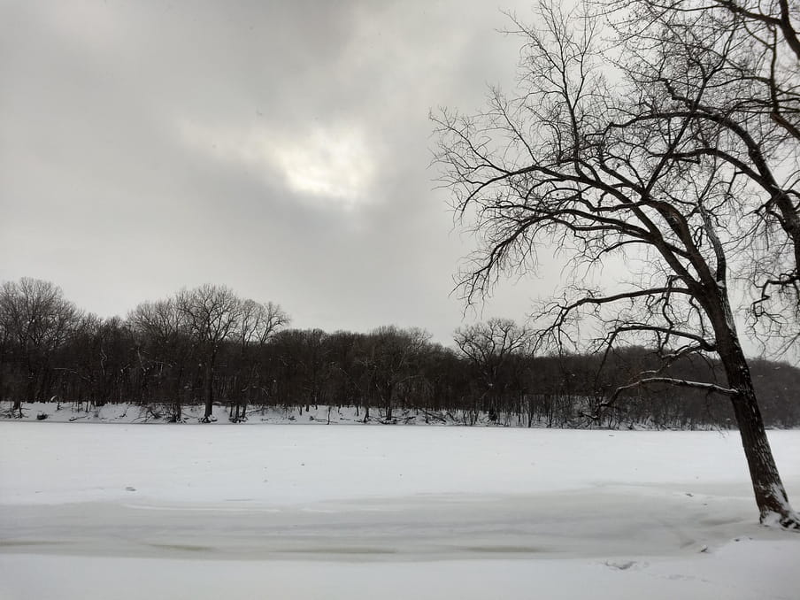 Winter landscape showing a frozen river with a large leafless tree in the foreground on the right side.