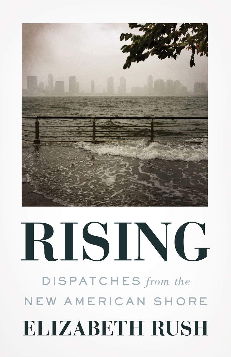 Book Cover of ‘Rising’ depicting water coming over the edge of a boulevard, with the new york city skyline on the background