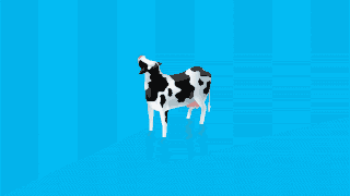 A 3D animation of a black and white cow looking up to the right, standing in a pool of slightly moving bright blue background