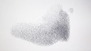 Picture of a large group of birds flying together against a white background 