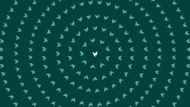 Animation of a dark green background with a solitary bird in the middle, in white, surrounded by circles of birds growing bigger from the centre, and flashing white before returning to green as the circles phase in and out from the centre