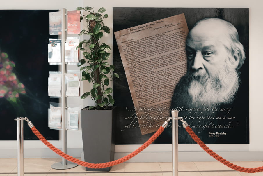 Wallpaper on a wall with a quote by Henry Maudsley saying "...to promote exact scientific research into the causes and pathology of insanity with the hope that much may yet be done for its even [a few words are not readable due to a pole blocking the view] successful treatment". A plant and some flyers in a rack are standing next of it.