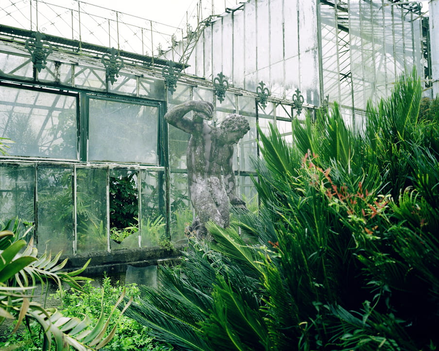 Photograph of an old statue, probably roman - standing surrounded by tropical plants.