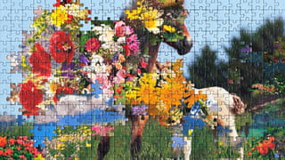 Photo of a puzzle, combining pieces from different types of images together to create new landscape. Here a flowery landscape is combined with a picture of two horses.