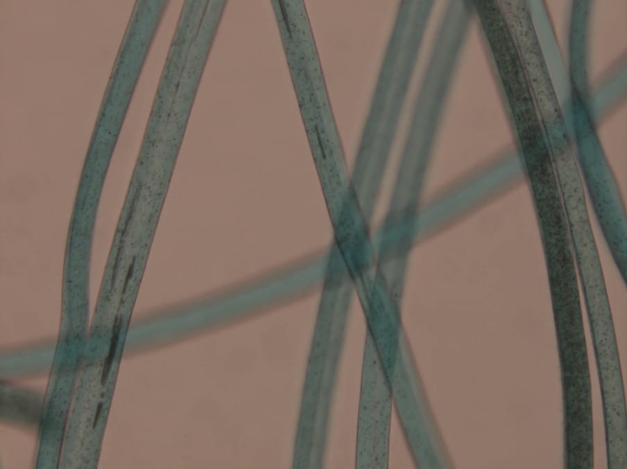 Close up photograph of fluorescent turquoise treads on a pink background.  