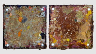 Photograph of two coloured squares. the squares are panels taken out from the sea and the colours on those are due to the creatures living on the surfaces. 