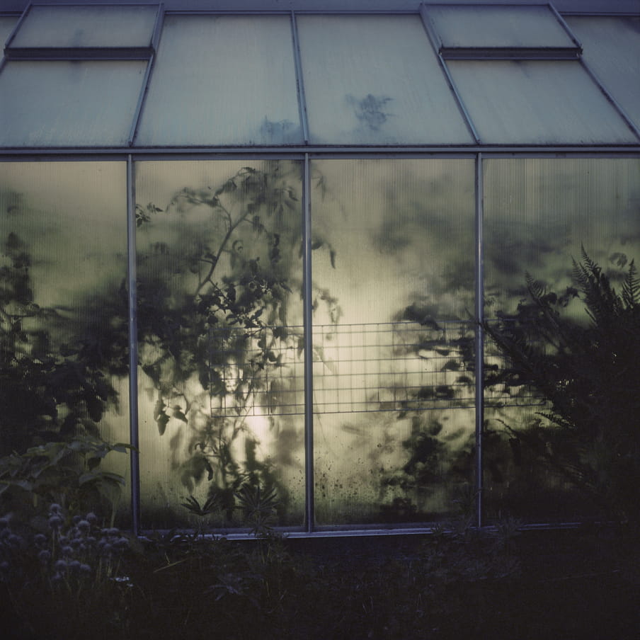 Photograph that shows part of a green house in a dimly lit environment. Light shines from the inside out.