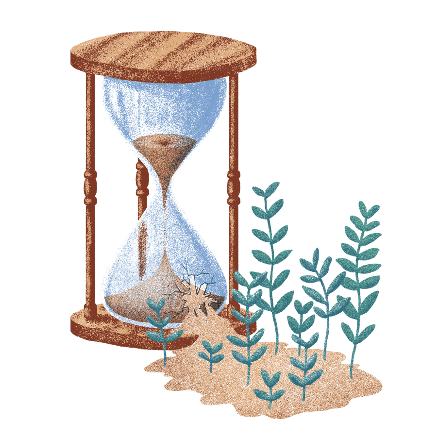 Illustration of an hourglass, sand trickling out of it, new plants growing from the sand