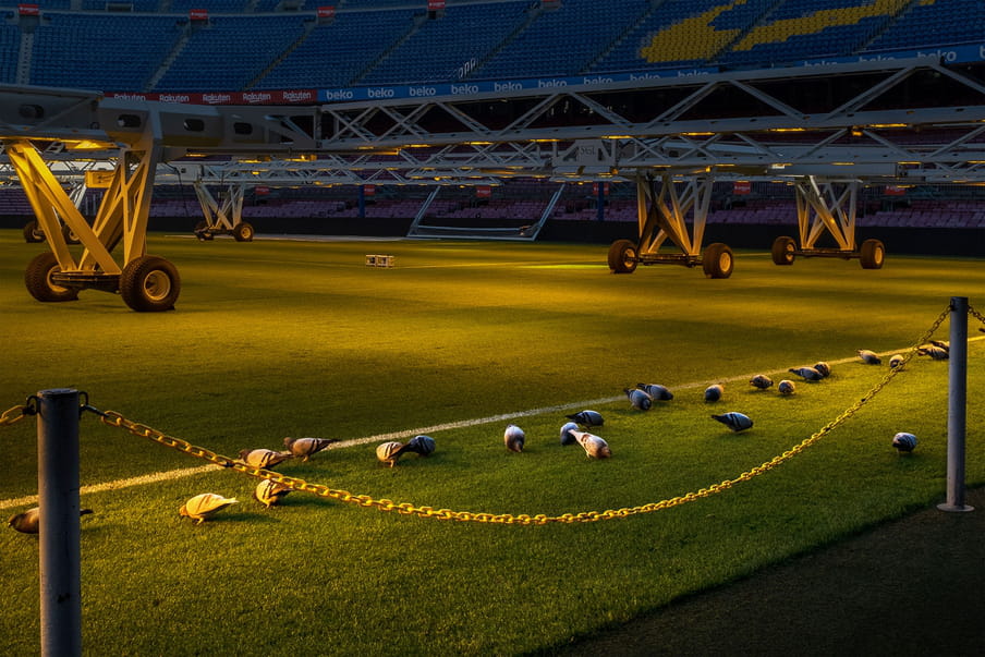 Photo of a empty football field with pigeons.