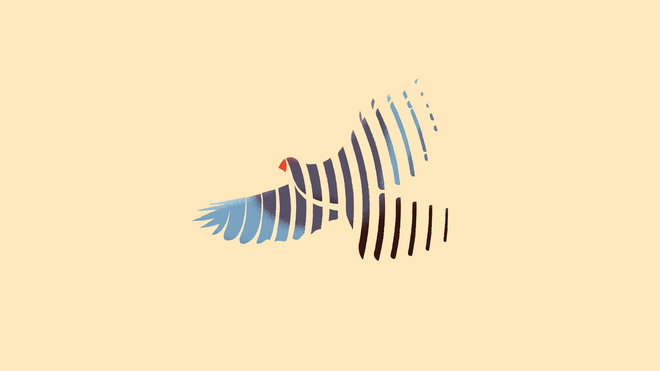 Illustration of a bird in flight with a red beak, blue wings, and black body, against a pale yellow background. The bird appears as a series of strokes, rather than as a full image