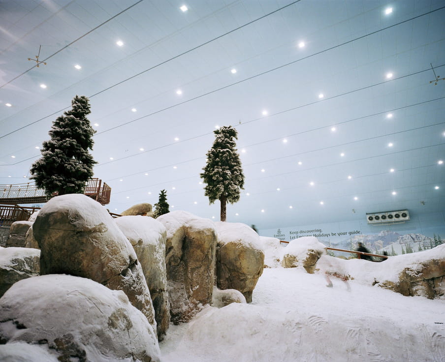 A snowy landscape with two tall fir trees, a series of large rocks amidst the snow, and a ceiling dotted with rows of bright circular lights