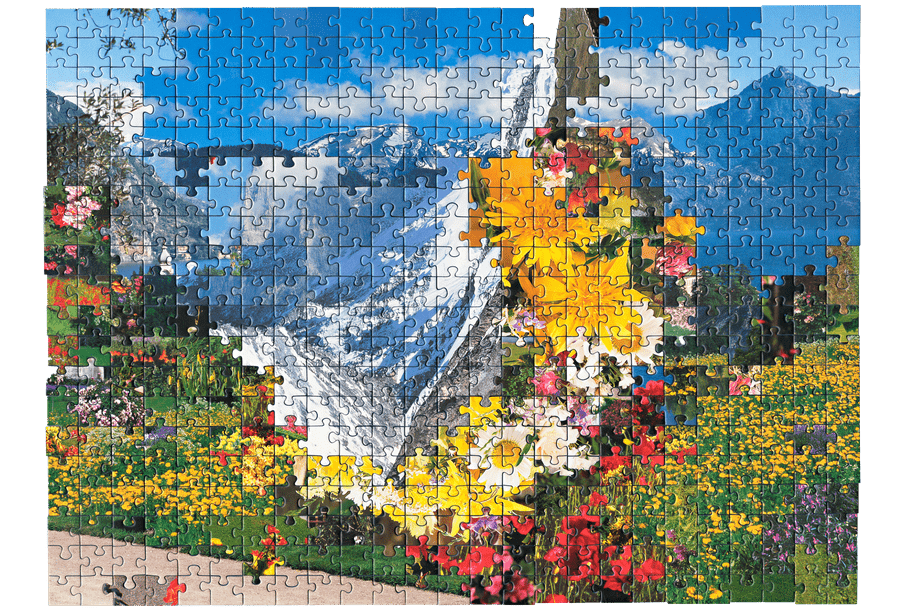 Photo of a puzzle, combining pieces from different types of images together to create new landscape. Here a pictures of a bouquet of flowers is combined with a picture of snowy mountains in the distance. 