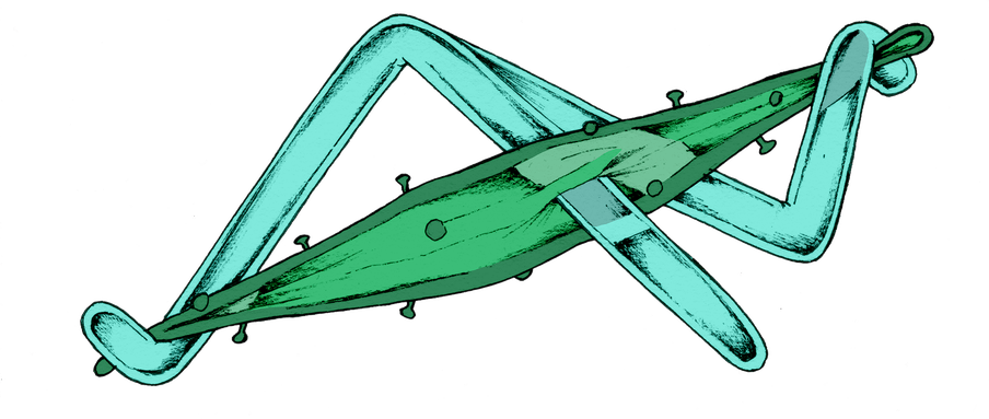 Illustration of a turquoise coloured, three-legged, molecular structure, its two outer legs are grasping a dark-green viral husk by its edges, stretching it apart horizontally. The middle leg of the structure penetrates the stretched out middle skin of the viral husk, small dots stick like nails from its outer layer.