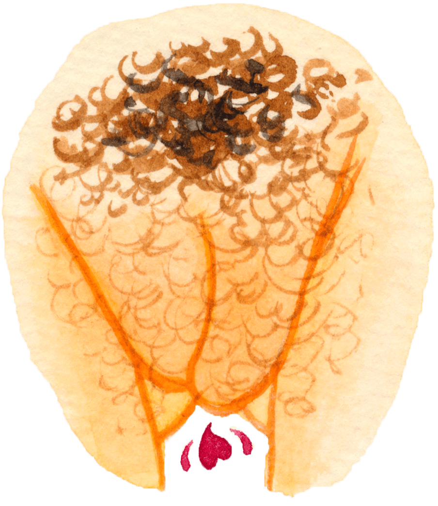 Illustration of a vulva with brown curly dark hair above it and some blood coming from it