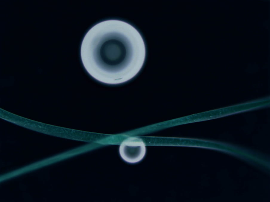 Close up photograph of green fibers and two white circles on a black background.