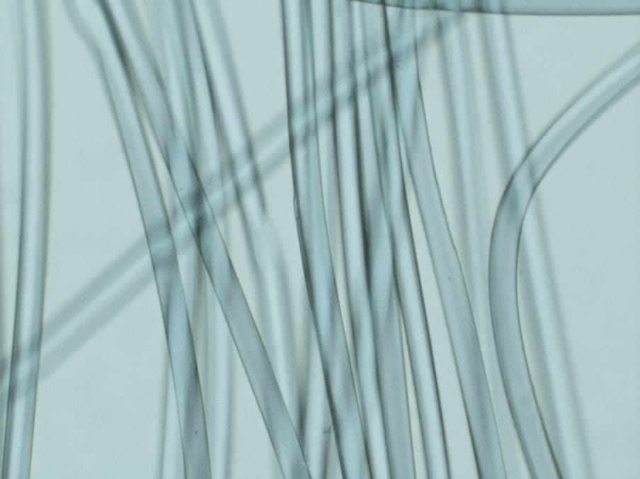 Close up photograph of transparent blue tubes on a blue background.