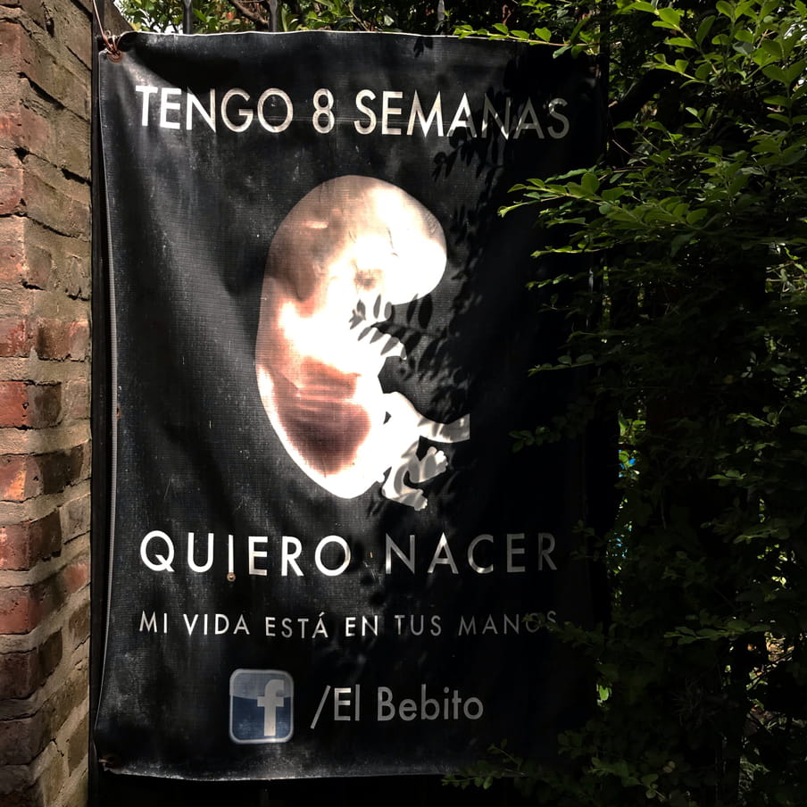 Image of a banner against abortion, with the image of an embryo.