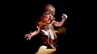 Gloved hands holding upright still bloody newborn baby, umbilical cord still attached; against black background.