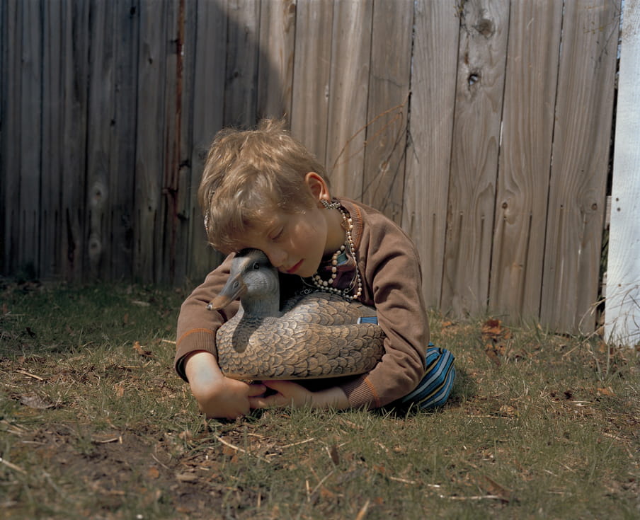 Photo of a boy sleeping with a fake duck in his arms