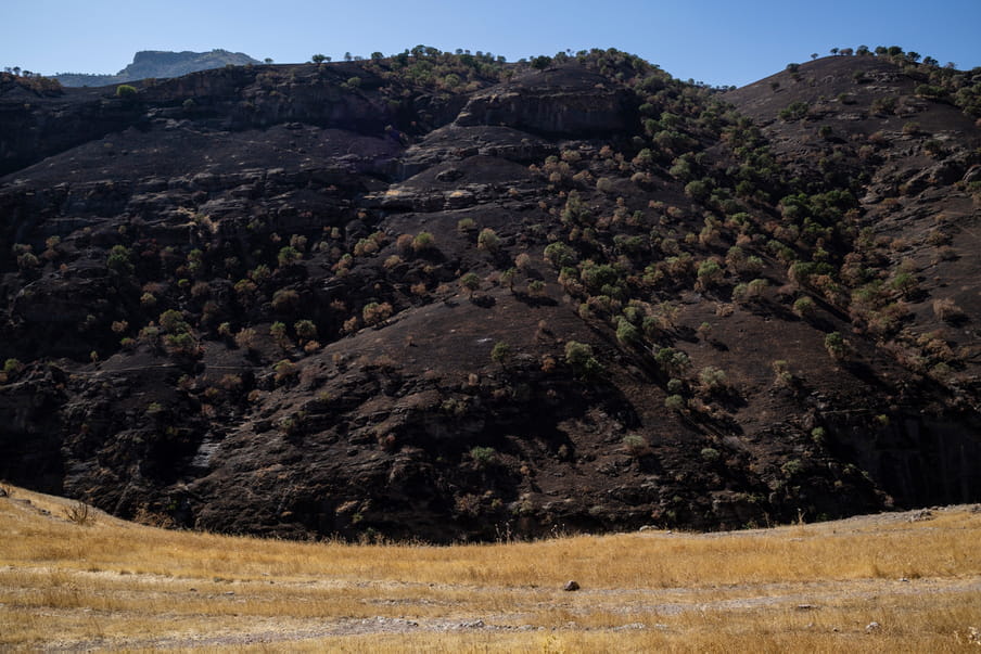 Photograph of a burned mountain