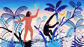 Illustration of a jungle environment with at the center a human figure reaching out to the moon and a money reaching out to a banana.