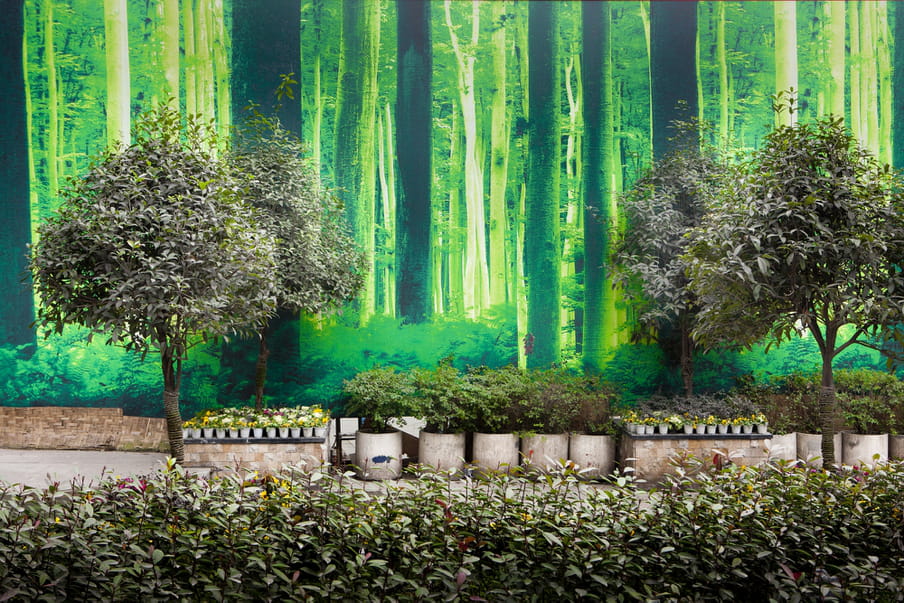 Trees and flower pots standing in front of a wall featuring a photograph of a forest in a fluorescent green. 