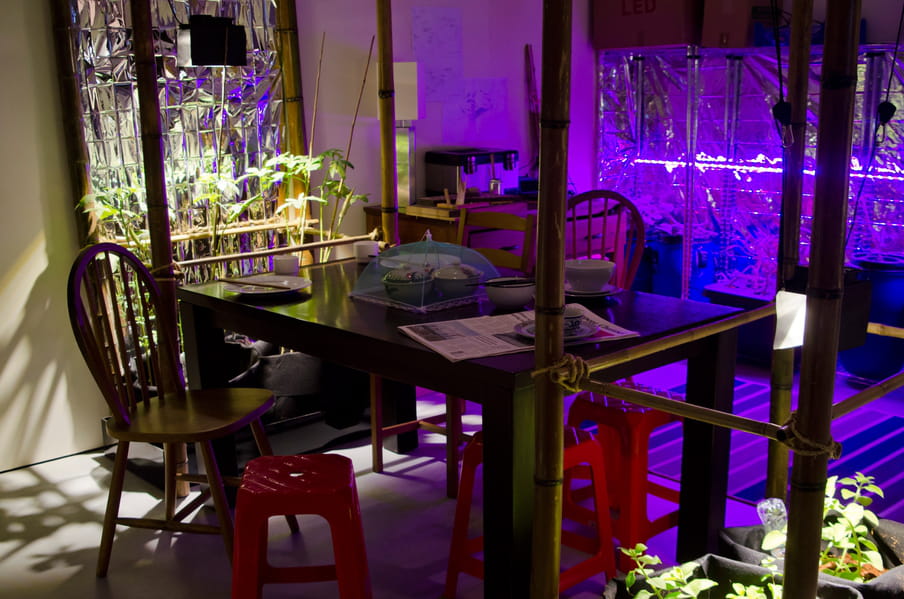 Photo of a dining area surrounded by food growing under artificial lighting