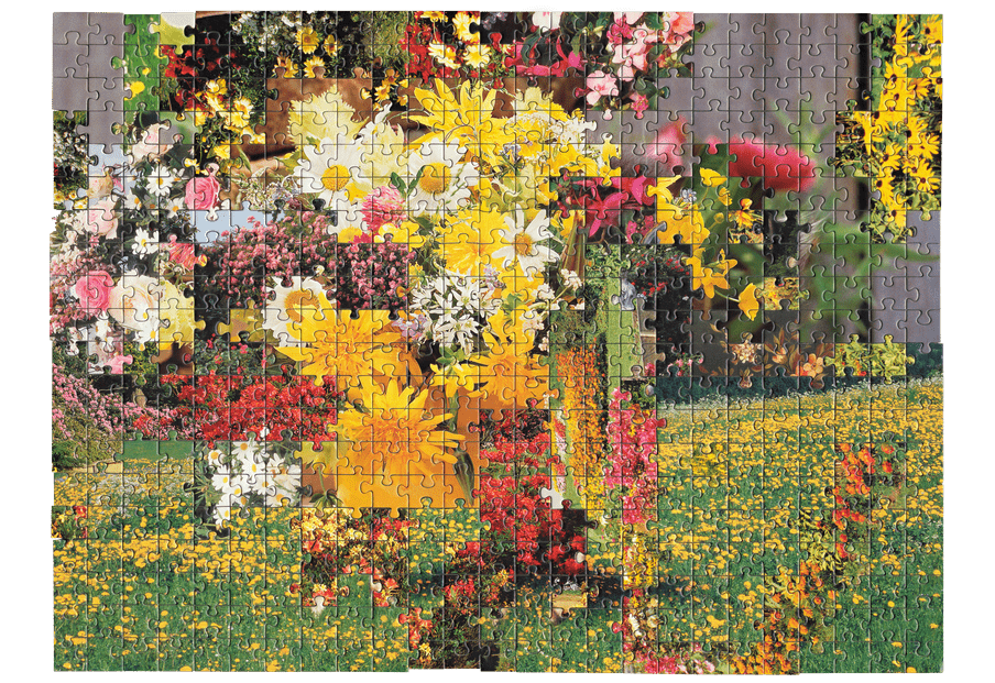 Photo of a puzzle, combining pieces from different types of images together to create new landscape. Here a flowery landscape is combined with a close up picture of flowers.