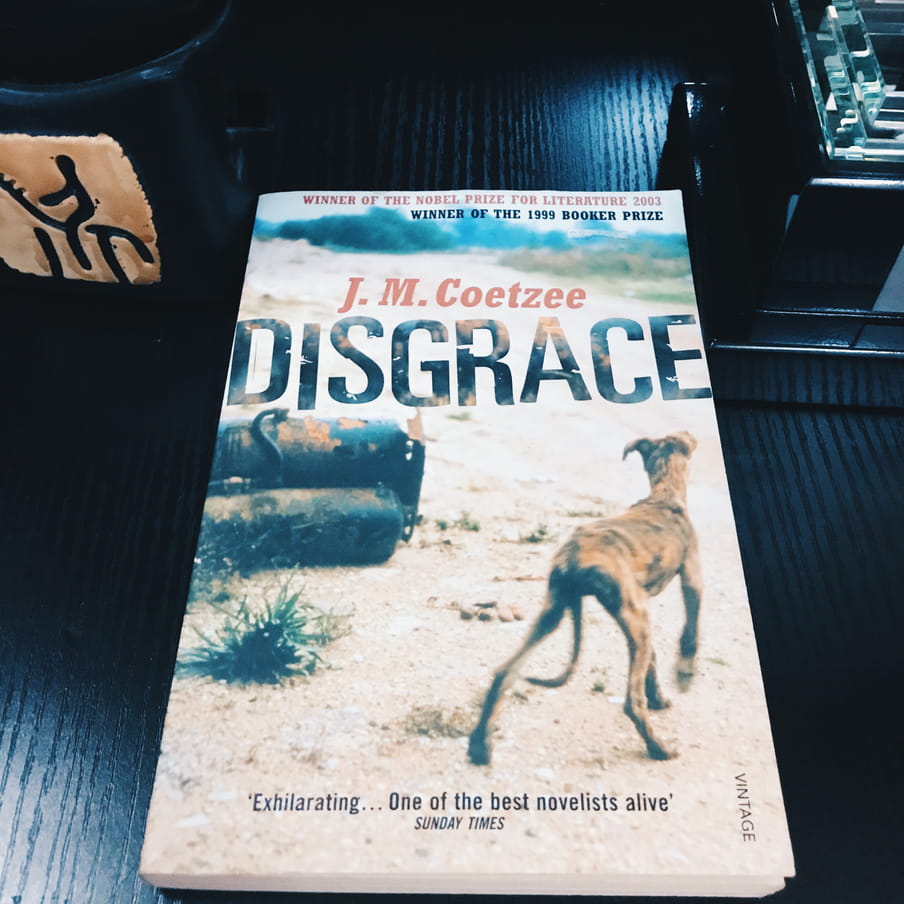 A photo of the cover of J.M. Coetzee’s book, ‘Disgrace’, on a dark background.