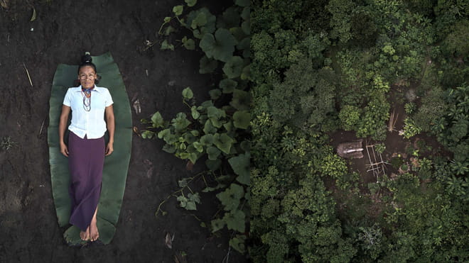 On the left, a photo of a woman lying on the ground. On the right, an aereal photo a forest