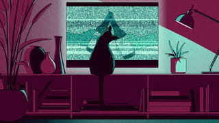 Illustration of a tv screen with a beer commercial, distorted, and a cat sitting in front of it. The graphics in this article are interactive, so unfortunately we can't add alt text to those