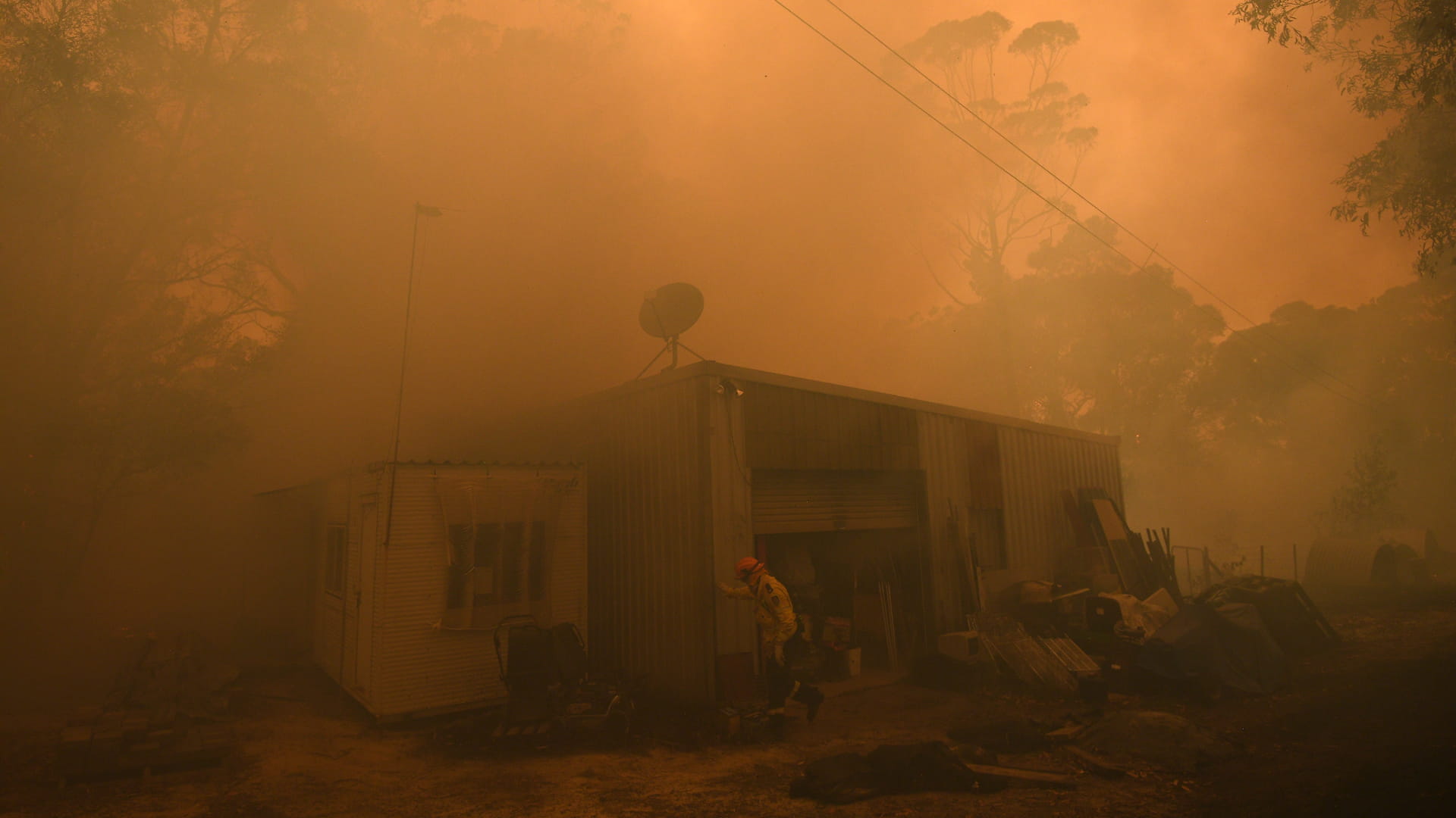 The horror of Australia’s fires is made worse knowing we could have ...