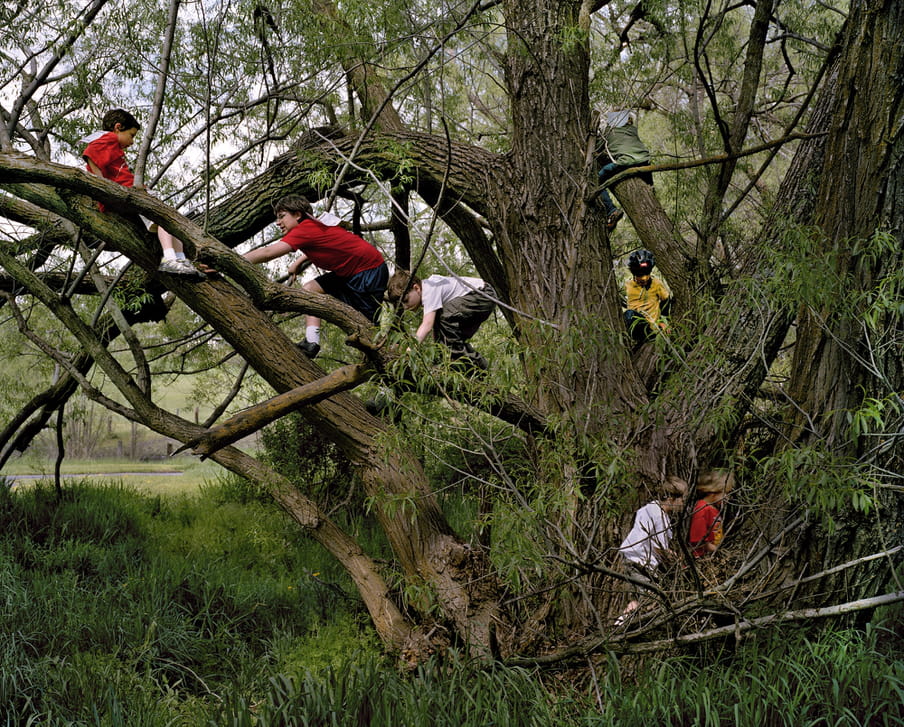 Photo of kids climbing a tree