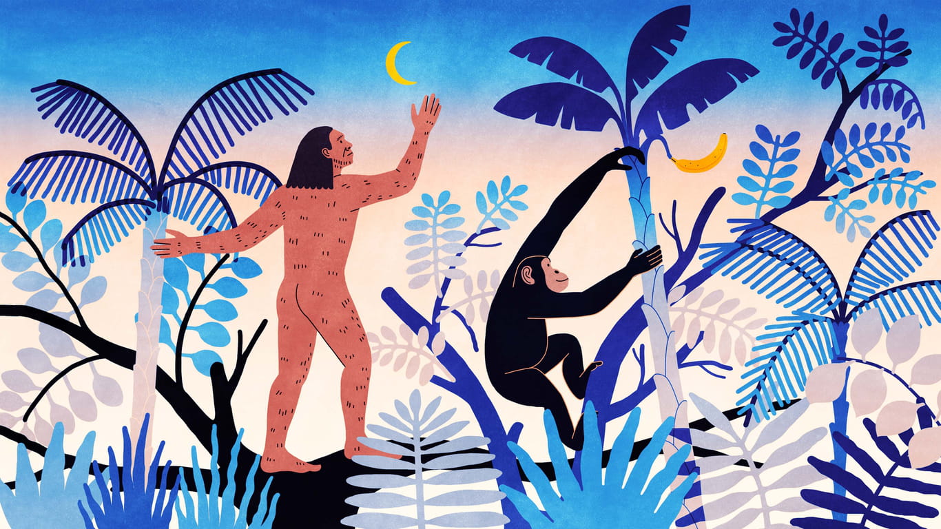 Sapiens Groundbreakingly Original In The History It Tells Predictably Disappointing In The 