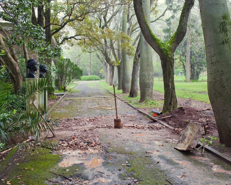 Photo of a a path in a botanical garden, lined by trees and two sculptures