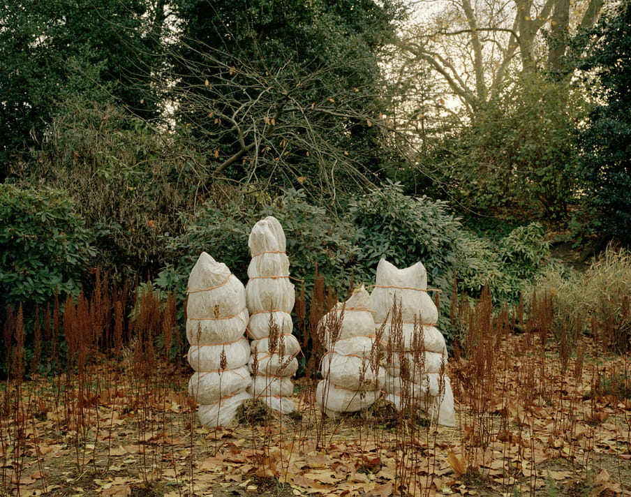 Four plastic bags of differing sizes stand in a forest clearing on leaves, amidst brown reeds, with greenery in the background and spots of a white sky