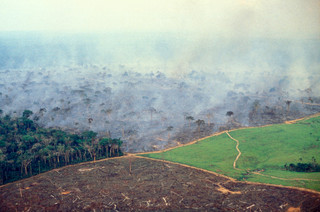 Deforestation in the Amazon, Brazil. Photo by Ricardo Funari/Getty Images