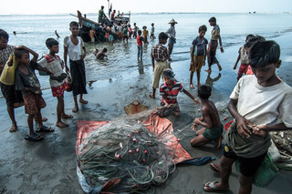 On the Beydar beach, adjacent to the camp, fishing boats bring their catch ashore. Photo by Andreas Staahl