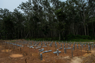 In a bumpy clearing in nearby Kampung Tualan lie the graves of 105 Rohingyas who did not survive the jungle camps. Photo by Andreas Staahl