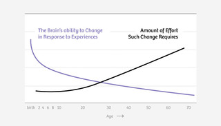 Source: Pat Levitt - Center on the Developing Child, Harvard University