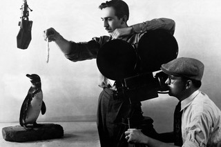 Walt Disney feeding a penguin while the cameraman records every move. Photo by Hulton-Deutsch / Corbis from Getty Images 