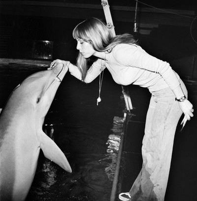 Dolphin at a dolphinarium getting rewarded with fish. Photo by Mirropix / Getty Images